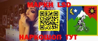 индика Дубна