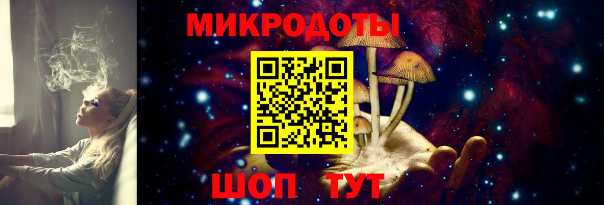 Псилоцибиновые грибы мухоморы Ликино-Дулёво